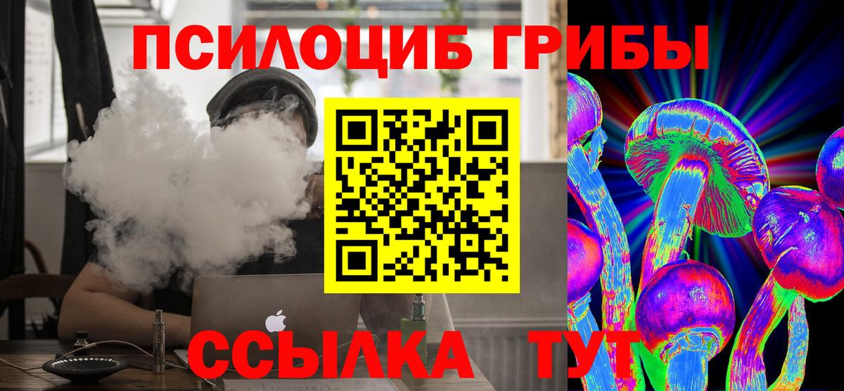 сколько стоит  Вход с VPN  Уварово  Галлюциногенные грибы мухоморы 